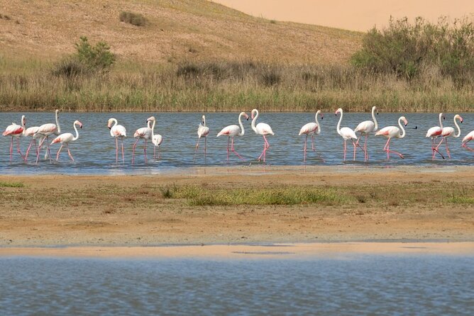 Souss Massa National Park