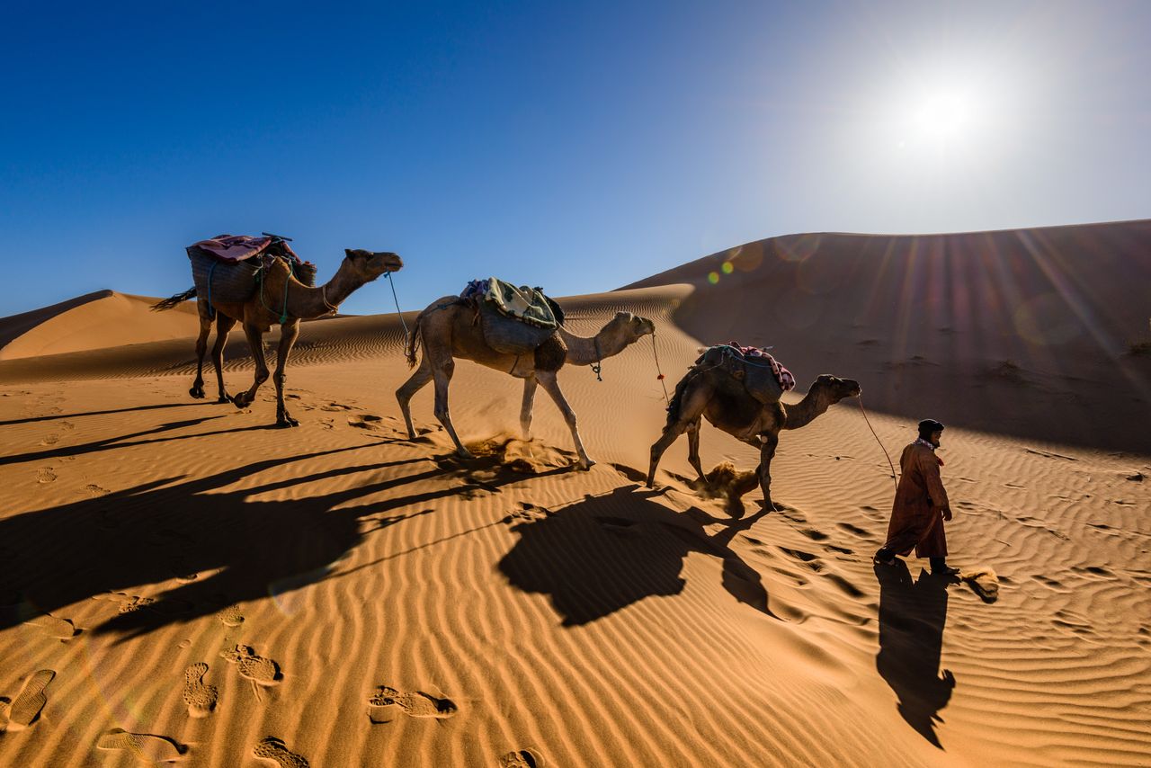 Moroccan Desert Heritage